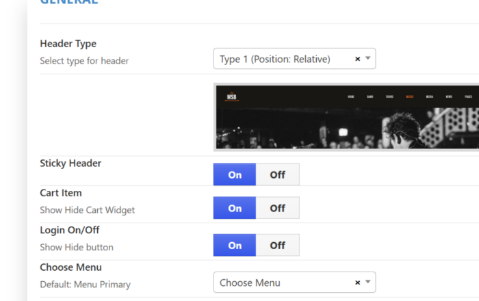 Flexible <em>theme options</em> panel